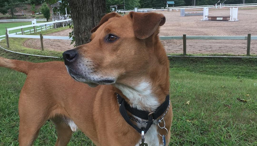 I've Added Links to Social Media!