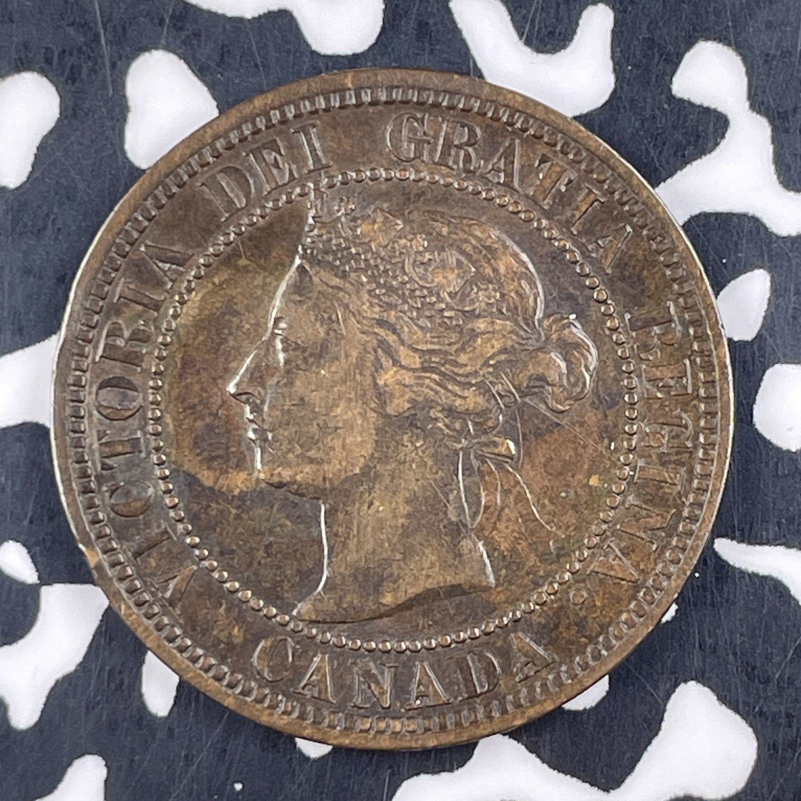 1882-H Canada Large Cent Lot#F5037 Nice!