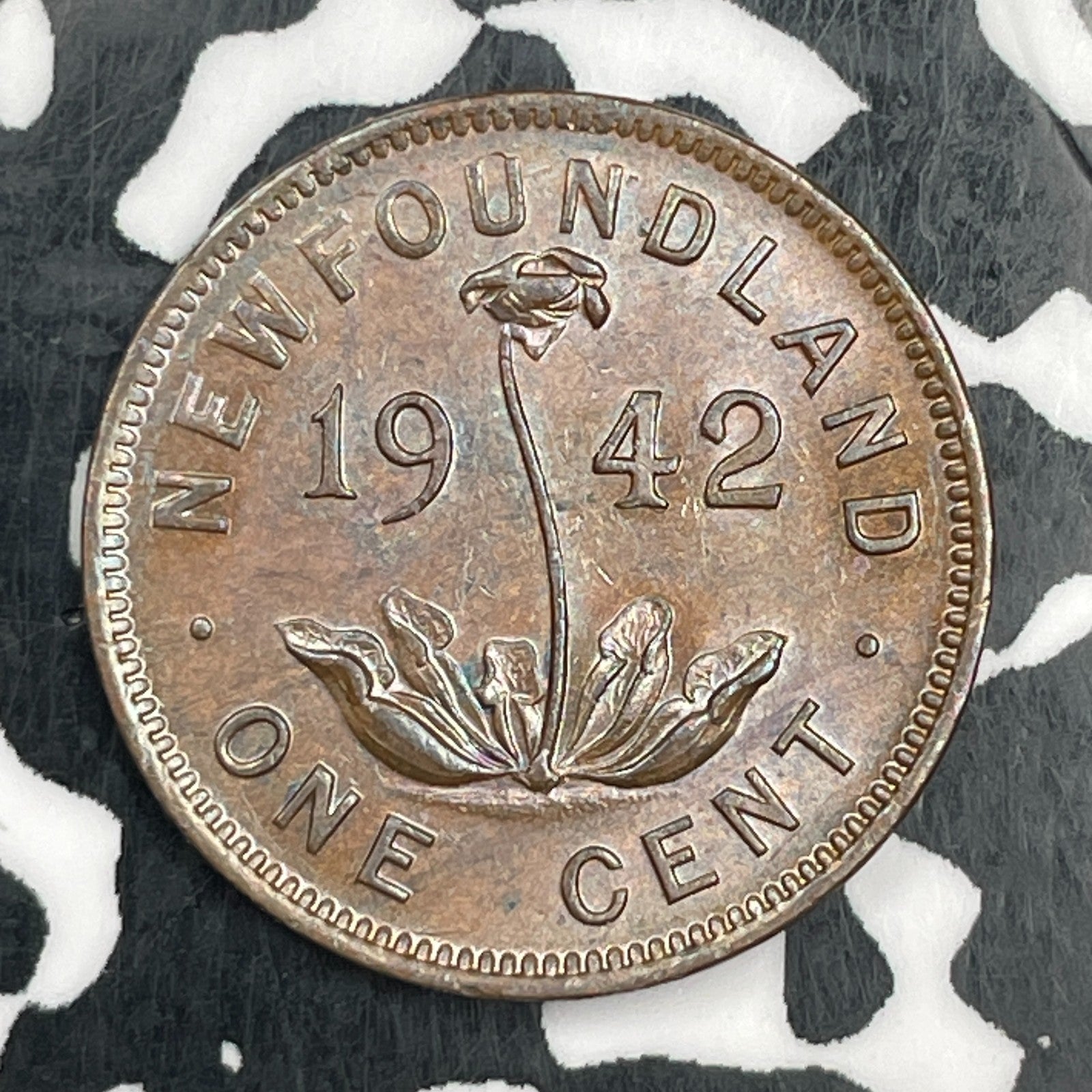 1942 Newfoundland Small Cent Lot#F9140 High Grade! Beautiful!