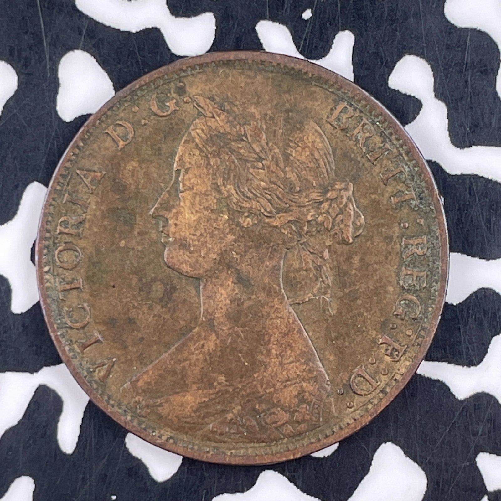 1861 New Brunswick Large Cent Lot#F4995