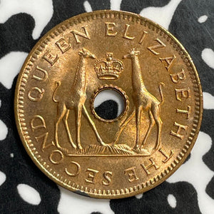 1957 Rhodesia & Nyasaland 1/2 Penny Half Penny Lot#E5370 High Grade! Beautiful!