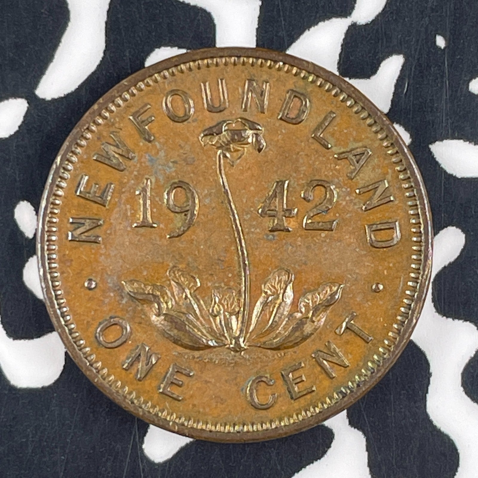 1942 Newfoundland Small Cent Lot#F2632 Nice!