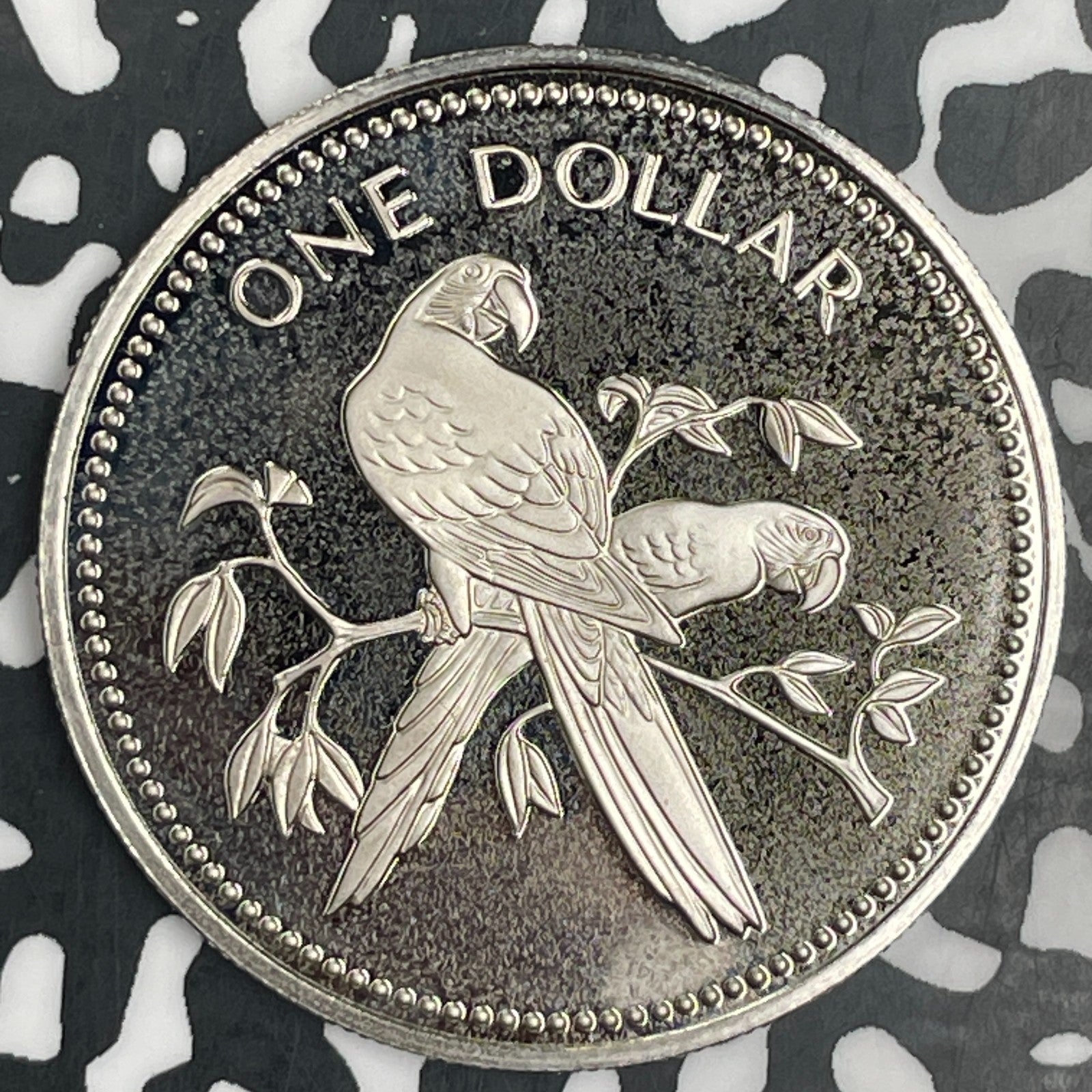 1975 Belize $1 Dollar Lot#F9608 Proof!