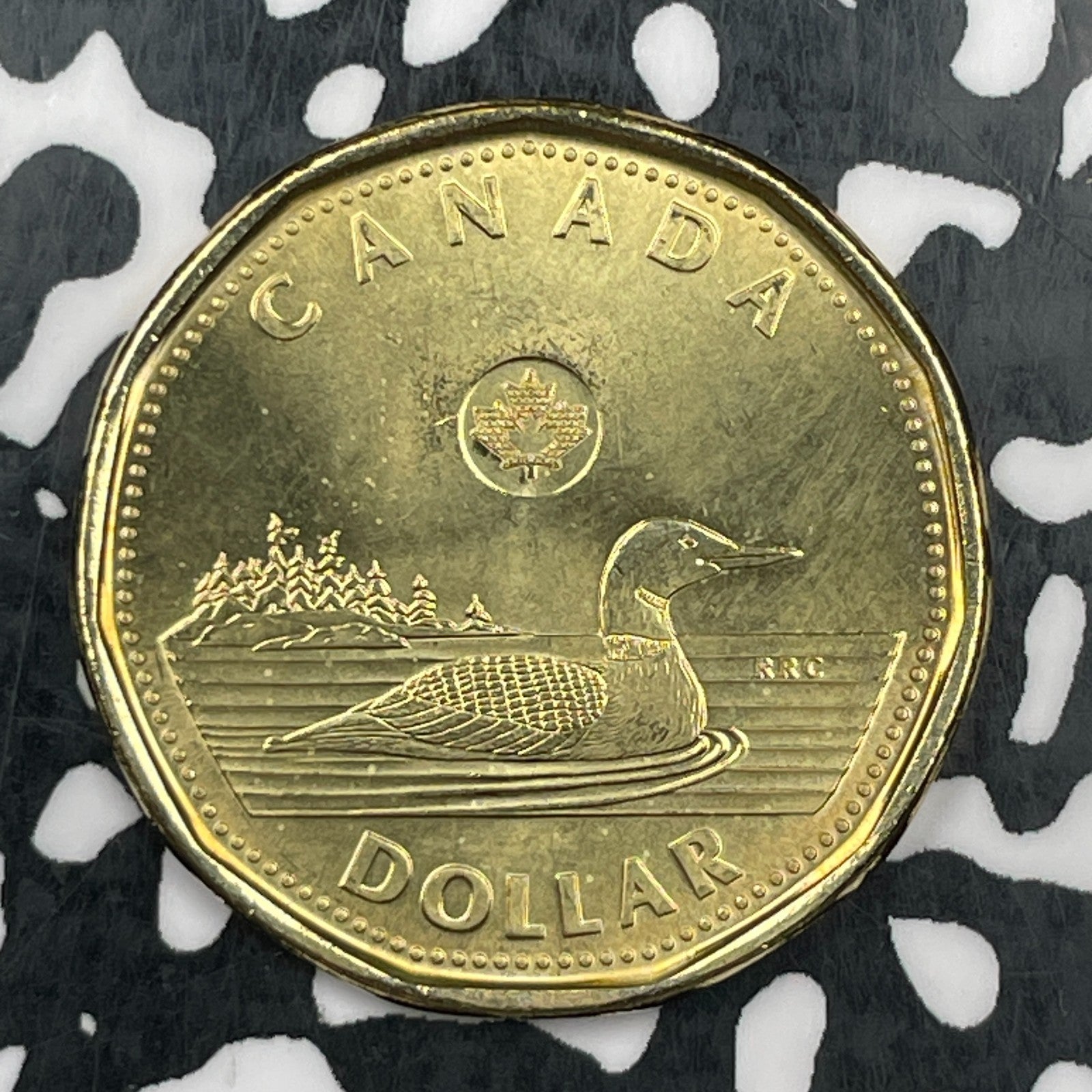 2023 Canada $1 Dollar Lot#F9673 High Grade! Beautiful!