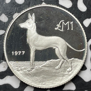 1977 Malta 1 Pound Lot#JM7497 Silver! Proof! Maltese Hunting Dog