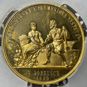 1889 Czech Republic Economic & Industrial Exhibition Medal PCGS SP62 Lot#GV6997