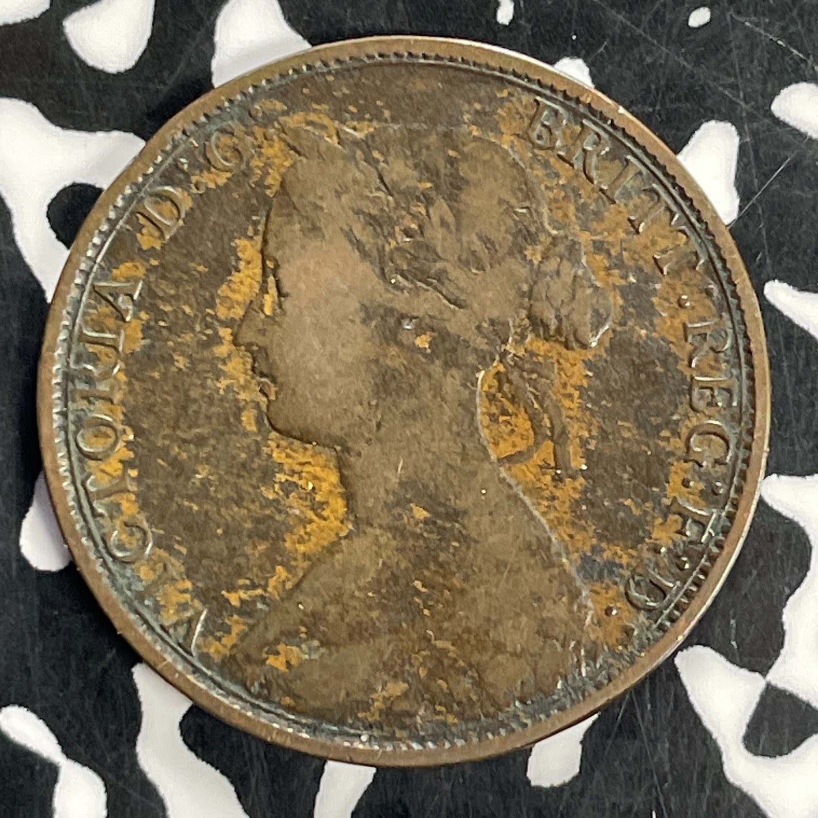 1864 New Brunswick Large Cent Lot#C1644