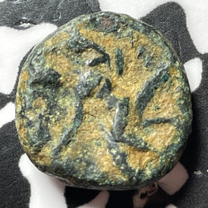 (200's BC) Ancient Italy Calabria Tarentum AE12 Lot#D7273 SNG-COP. 1085