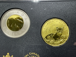 2020 Canada Black Footed Ferret 6x Coin Specimen Set Lot#B2210 W/ Case & C.O.A.