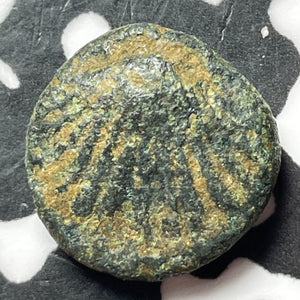 (200's BC) Ancient Italy Calabria Tarentum AE12 Lot#D7273 SNG-COP. 1085
