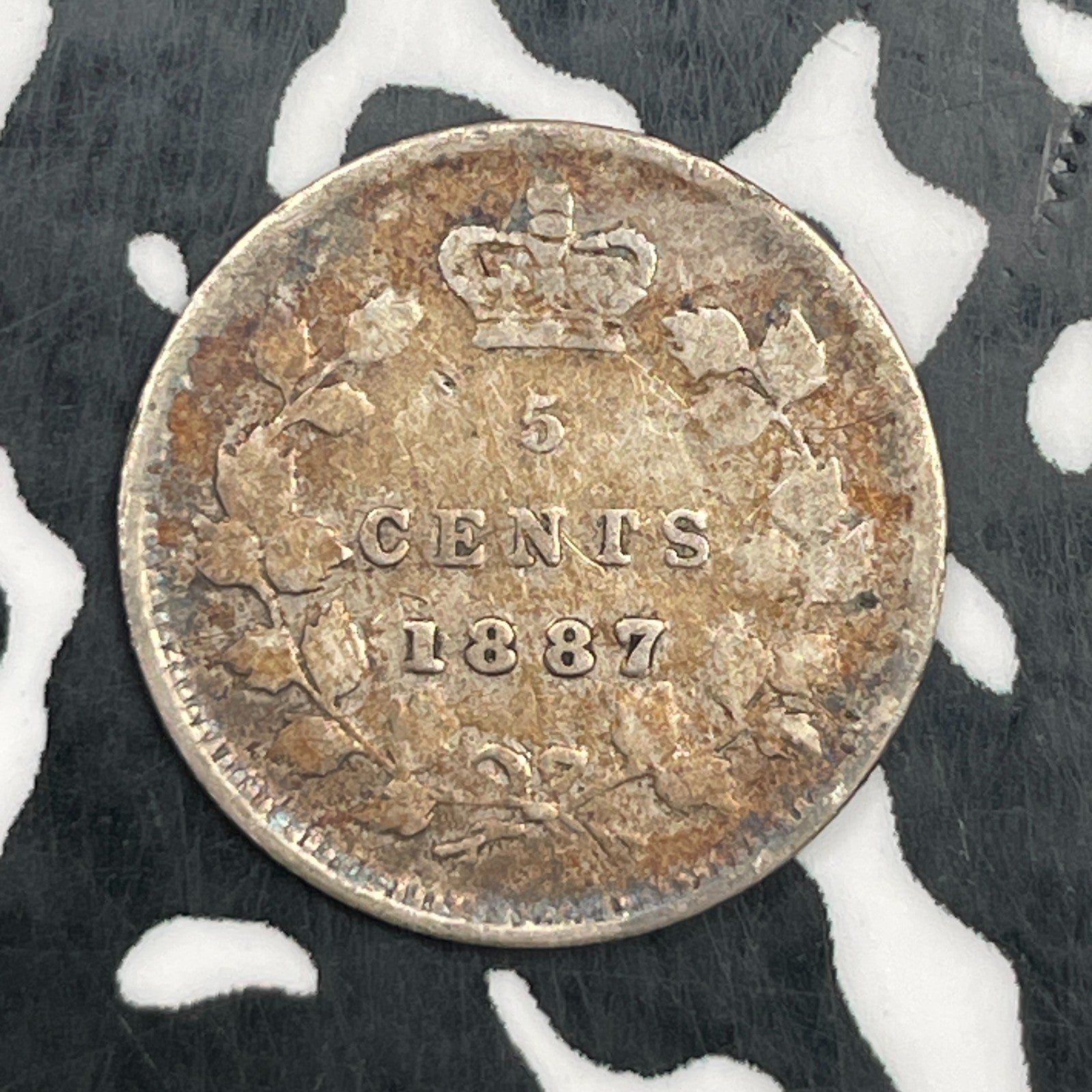 1887 Canada 5 Cents Lot#N1200 Silver!