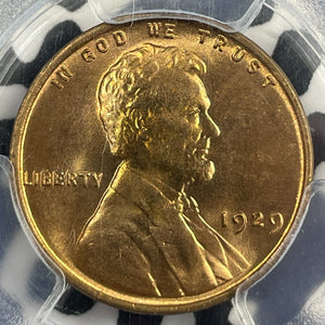 1929 U.S. Lincoln Wheat Cent PCGS MS67RD Lot#G9548 Gem BU!