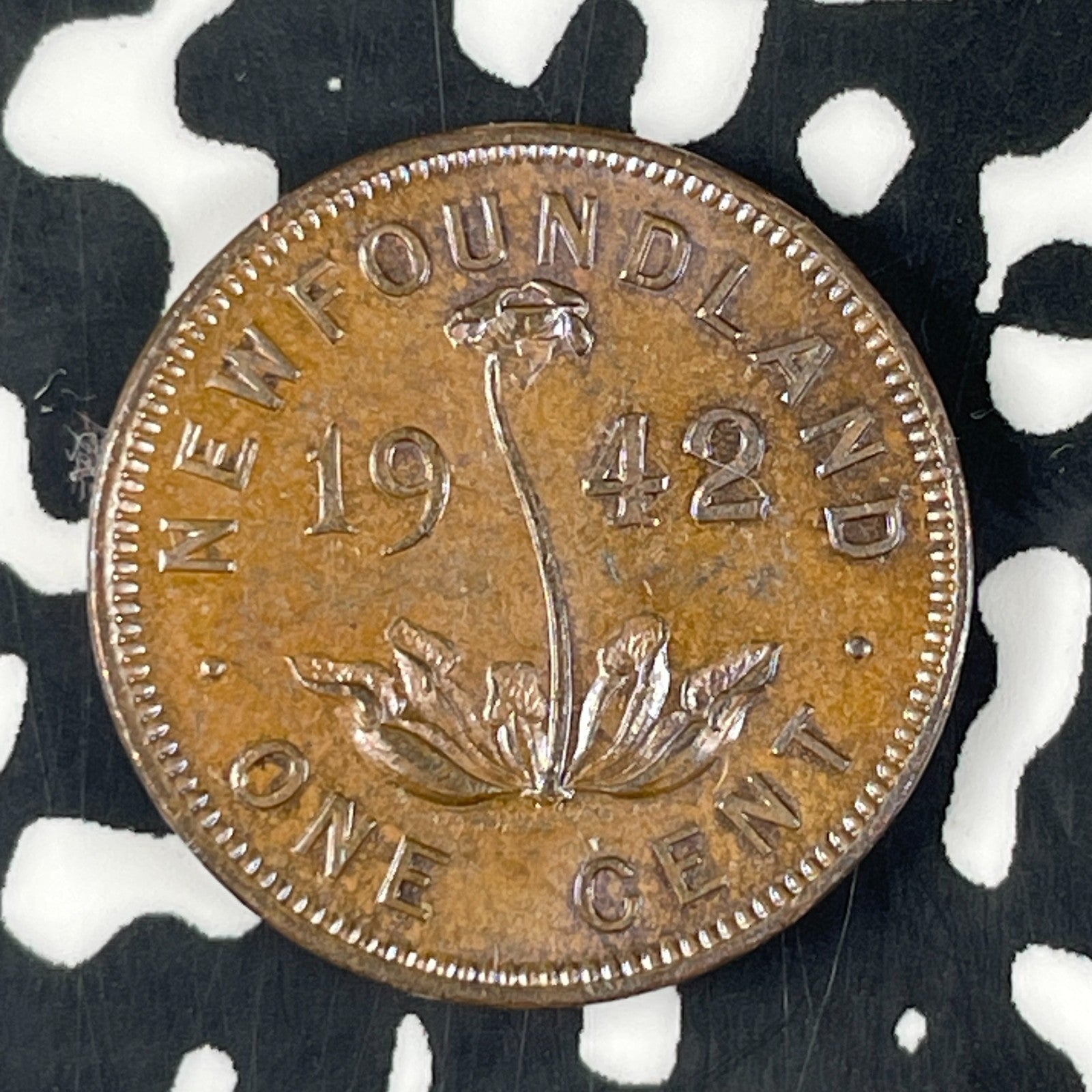 1942 Newfoundland Small Cent Lot#F0746 High Grade! Beautiful!