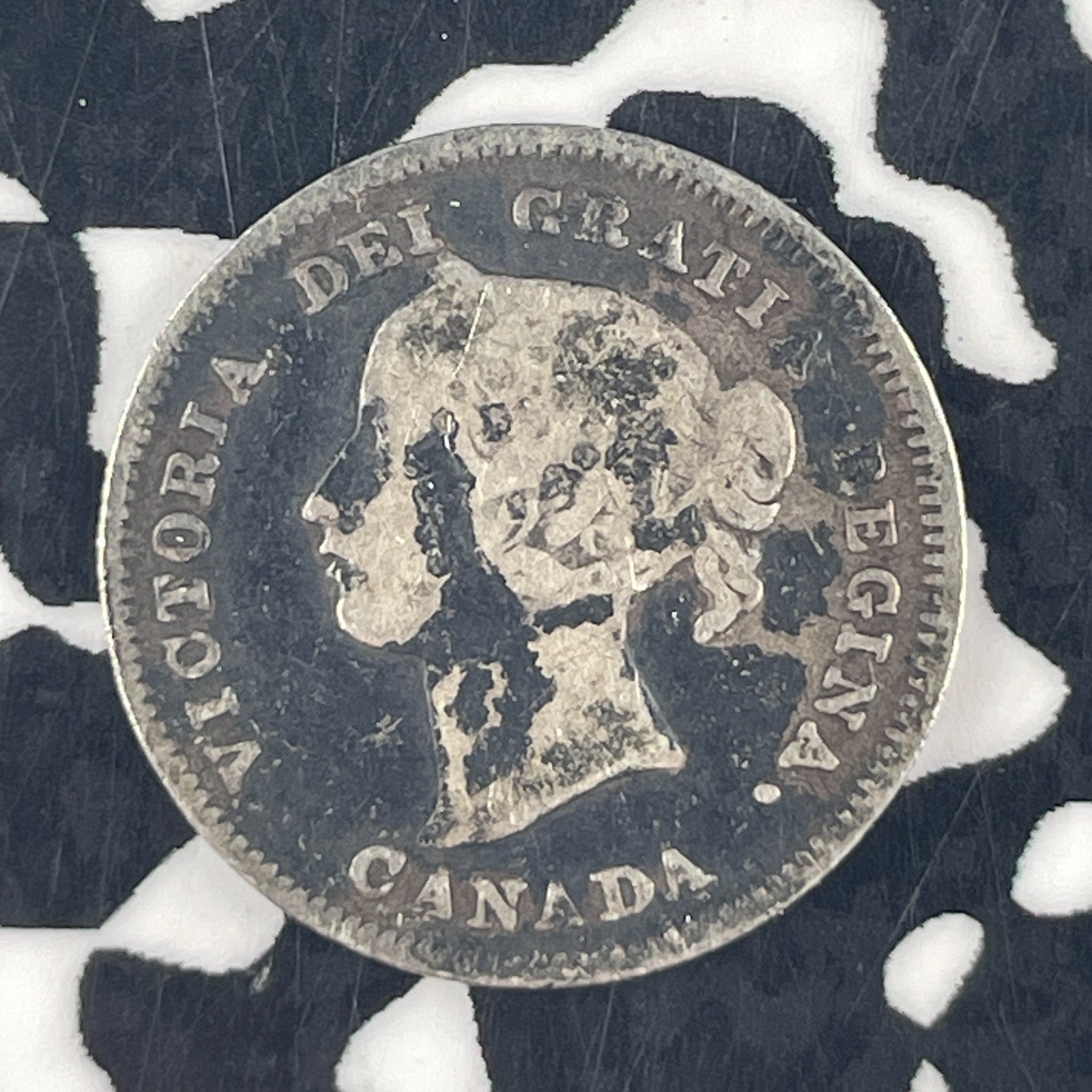 1900 Canada 5 Cents Lot#F4530 Silver!