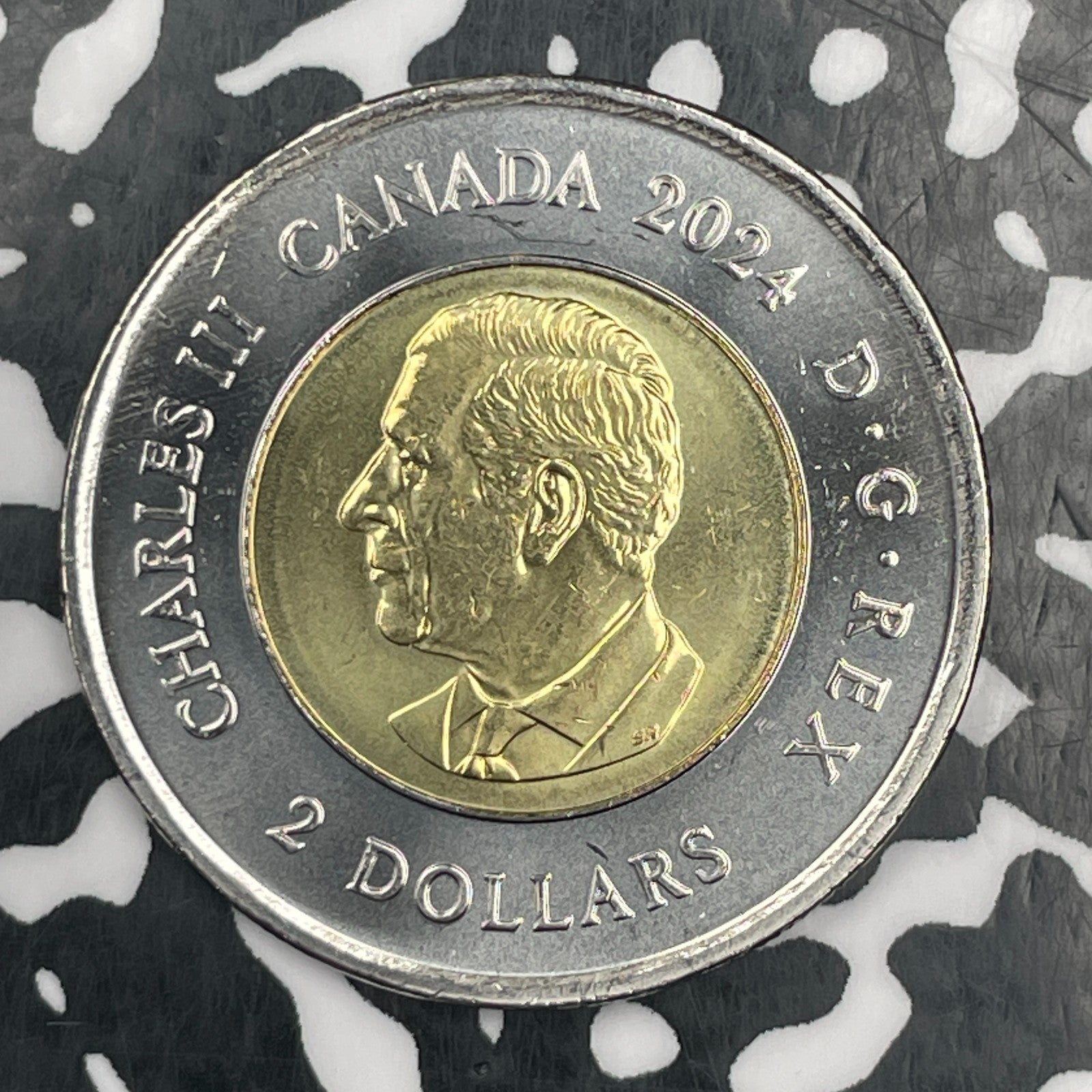 2024 Canada $2 Dollars Lot#N0359 High Grade! Beautiful!