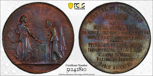 1904 Argentina Barracks For Invalids Medal PCGS MS63BN Lot#G9788 Choice UNC!
