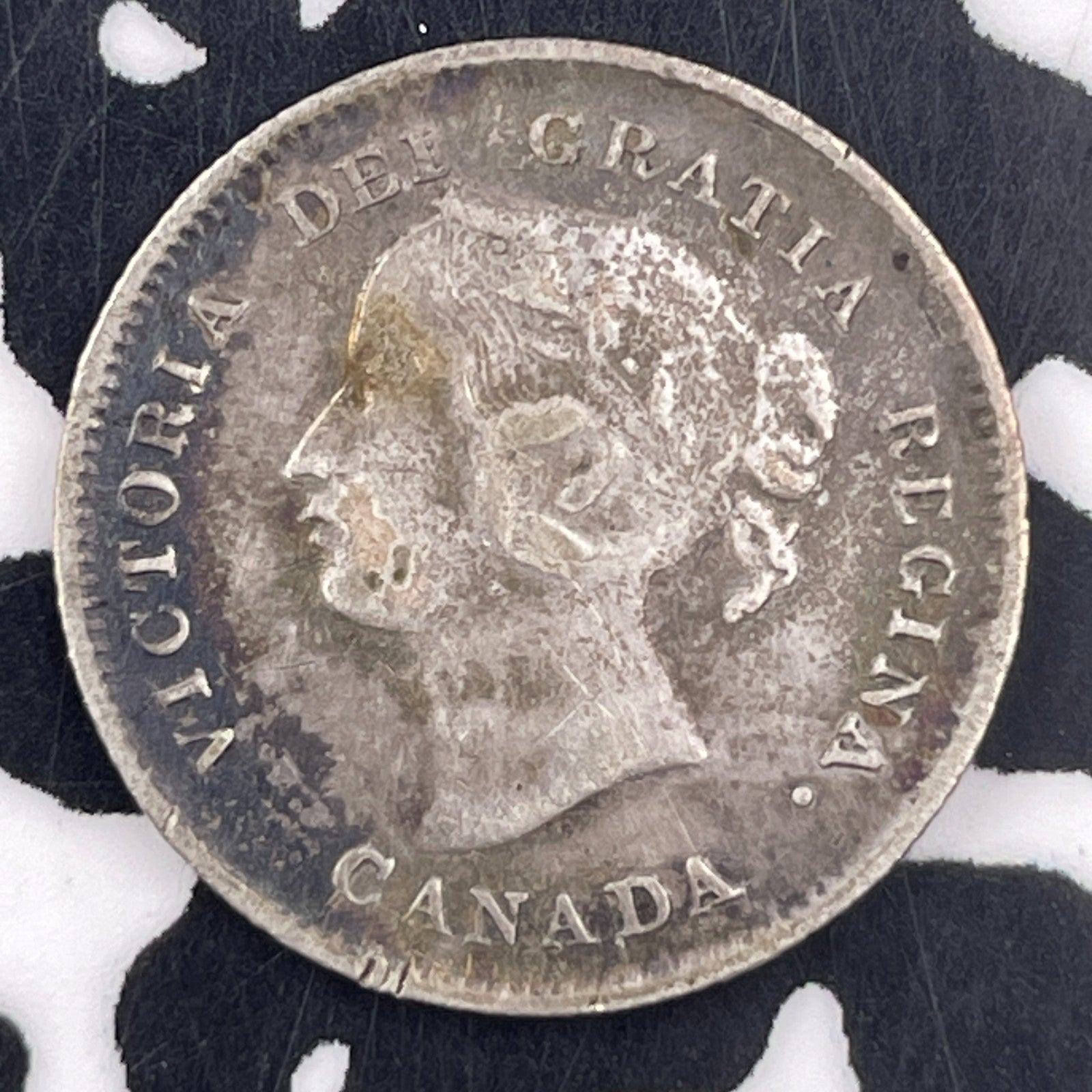 1896 Canada 5 Cents Lot#F1996 Silver!