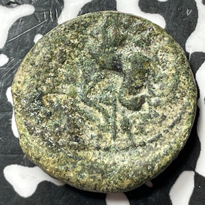 (After 212 BC) Ancient Sicily Syracuse AE20 Lot#D7265 SNG-COP. 901-02