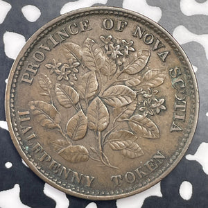 1856 Nova Scotia 1/2 Penny Token Lot#C1365 Obverse Scratch