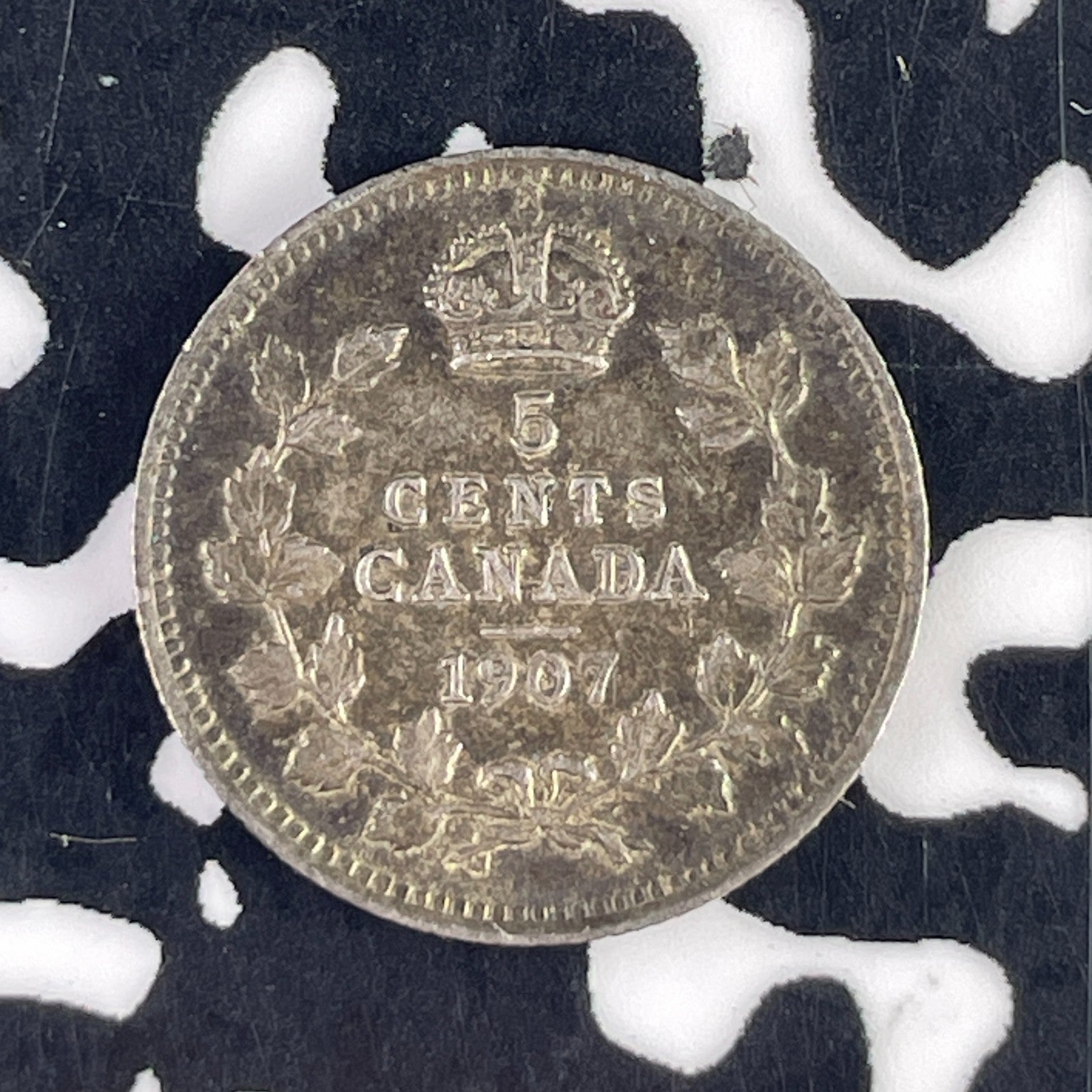 1907 Canada 5 Cents Lot#F2787 Silver! Nice!