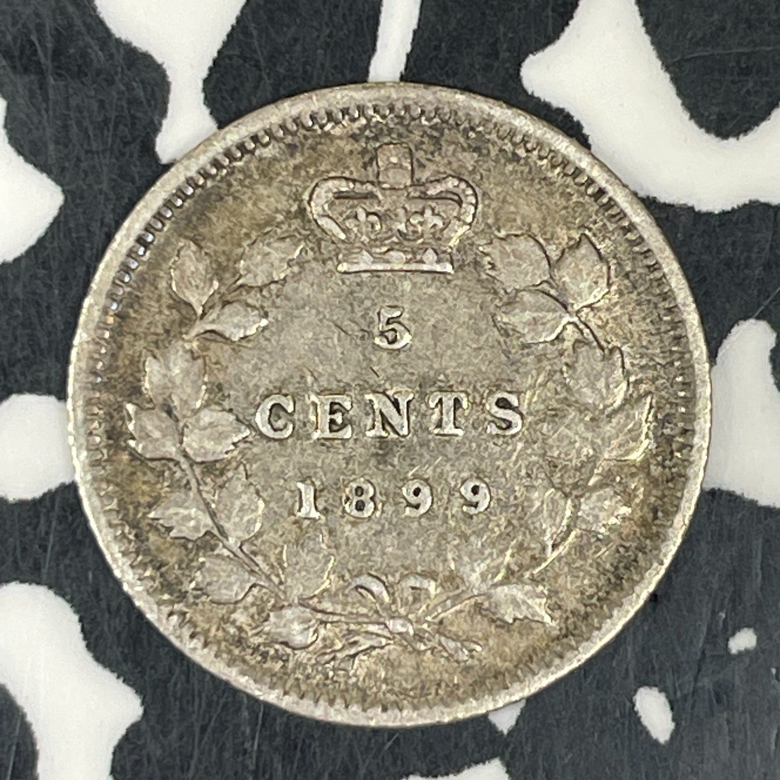 1899 Canada 5 Cents Lot#C8638 Silver! Nice!