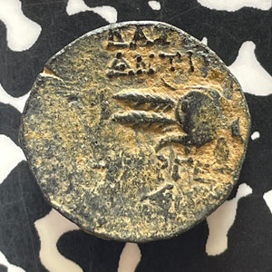 (138-129 BC) Ancient Seleukid Empire Antiochos VII AE 18 Lot#T5547 SEAR-7098