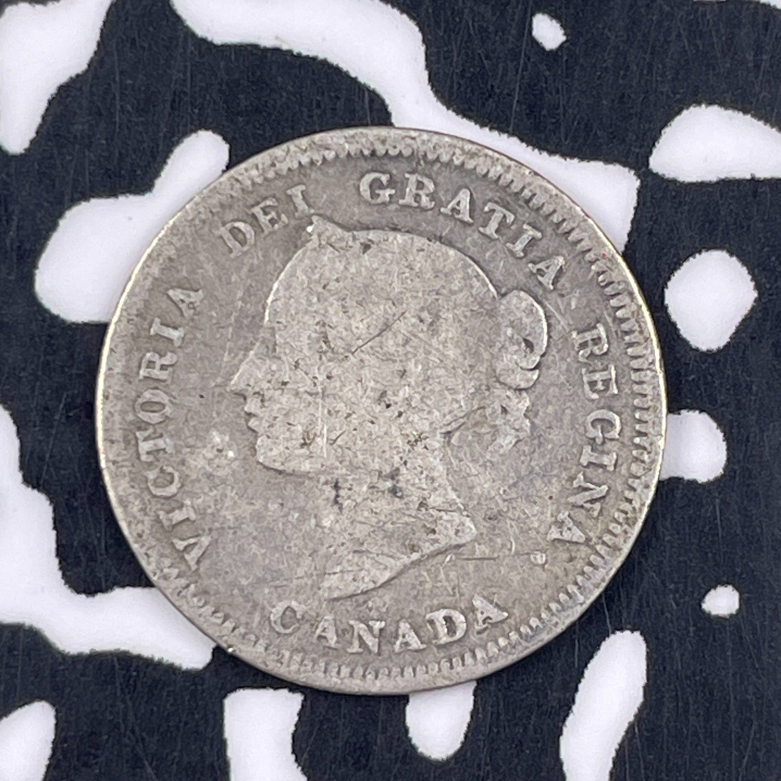 1881-H Canada 5 Cents Lot#F3889 Silver!