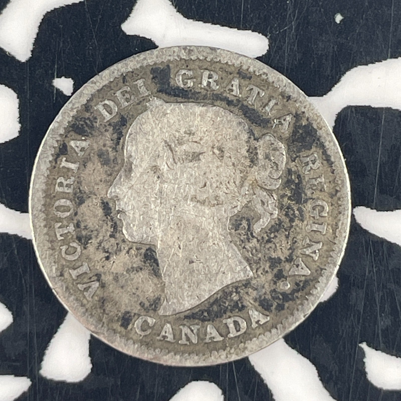 1886 Canada 5 Cents Lot#F4540 Silver!