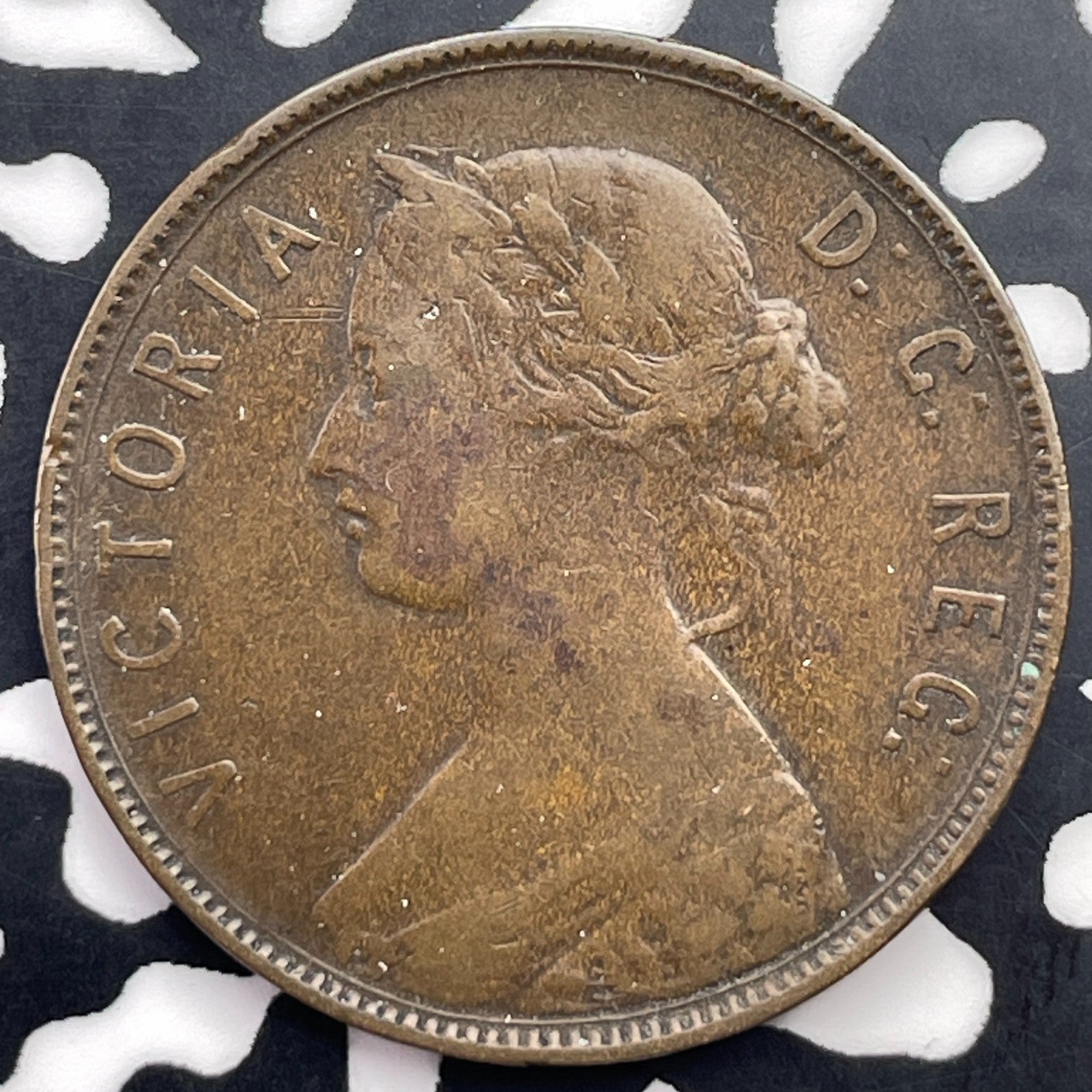 1876-H Newfoundland Large Cent Lot#C2868