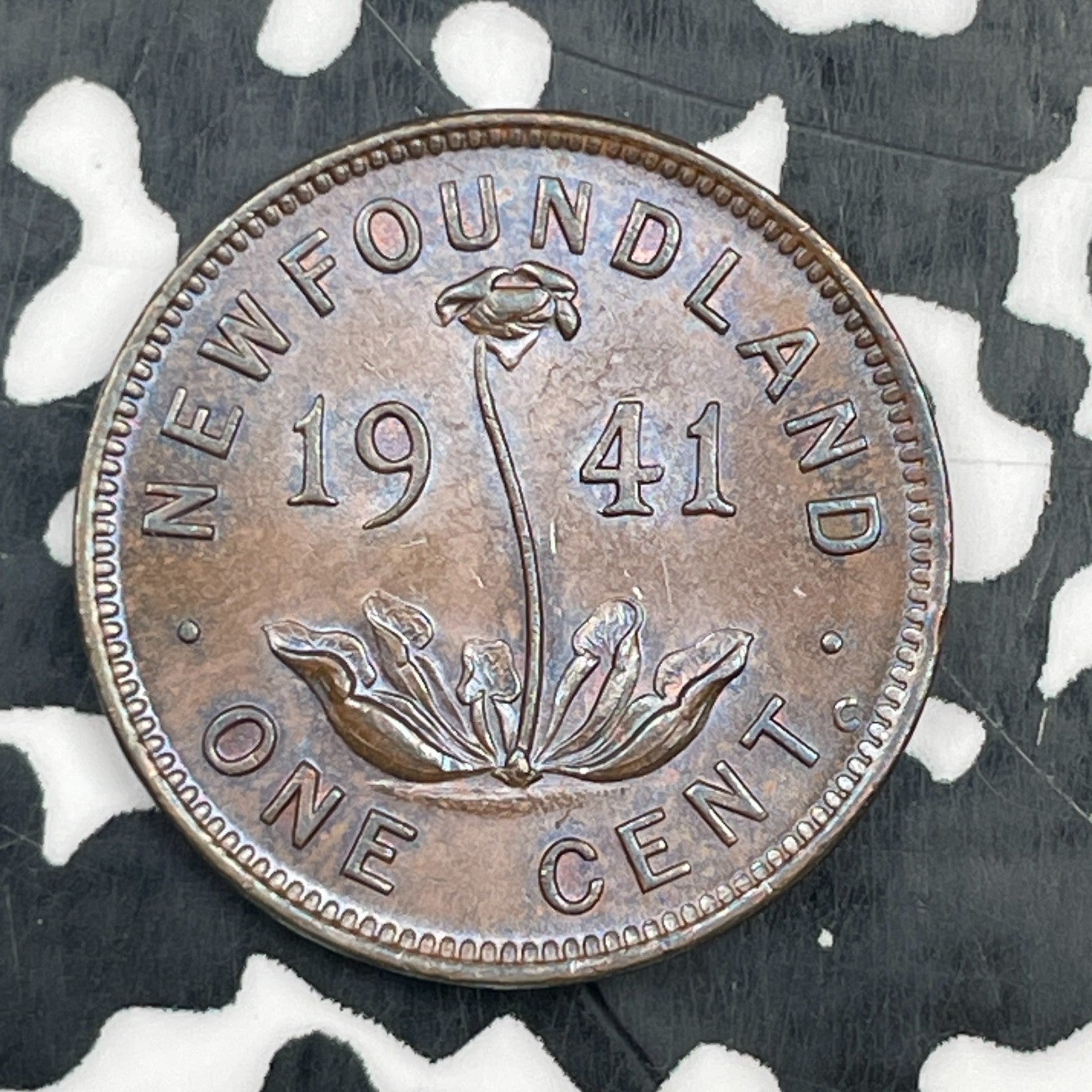 1941-C Newfoundland Small Cent Lot#N1533 High Grade! Beautiful!