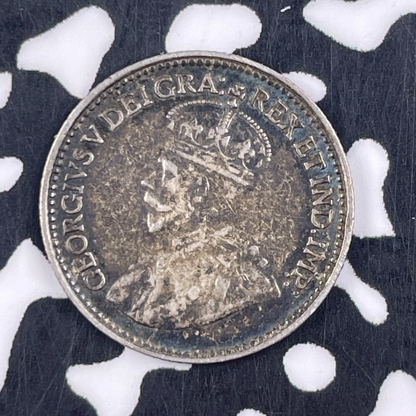 1929 Newfoundland 5 Cents Lot#F5019 Silver!