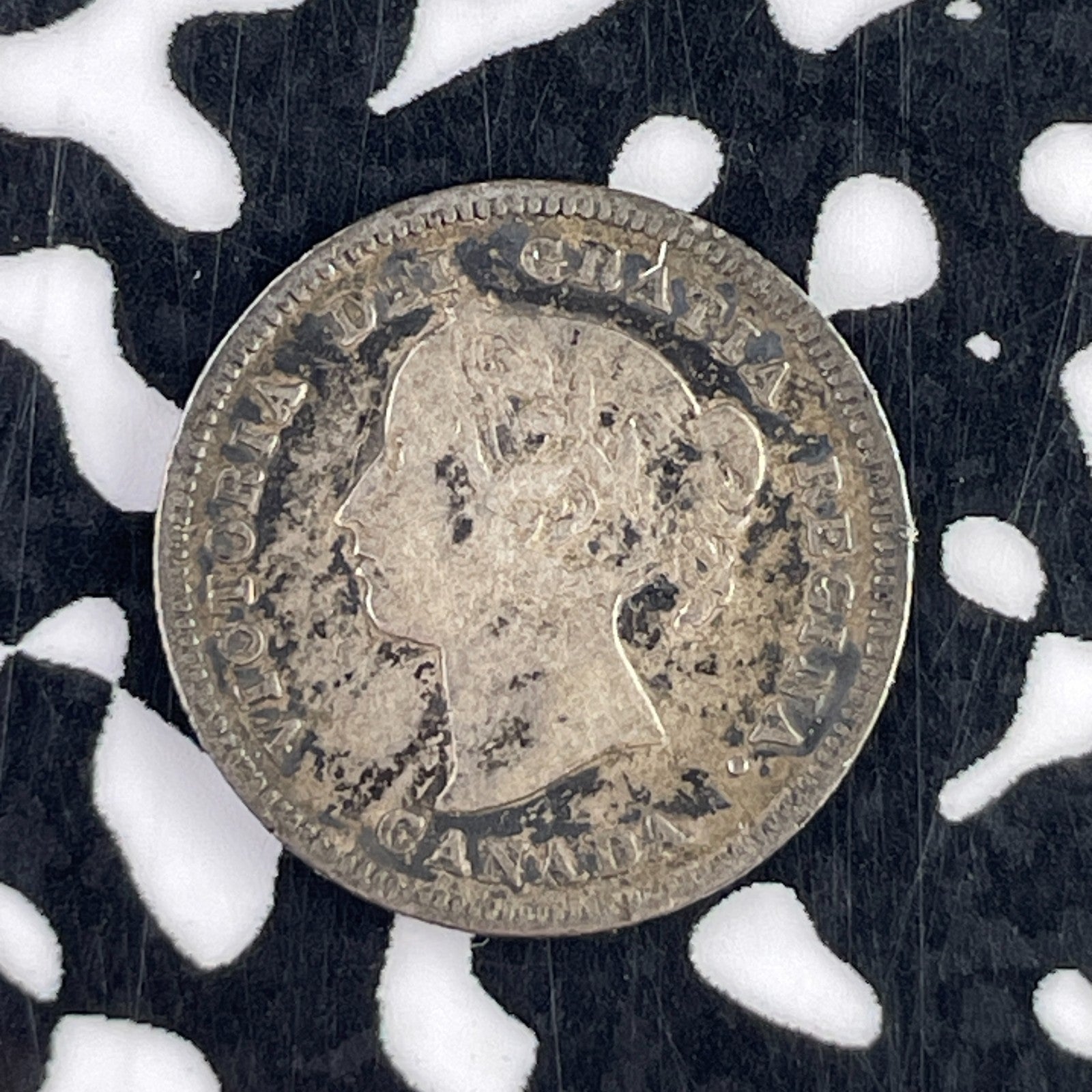 1886 Canada 5 Cents Lot#F2551 Silver!
