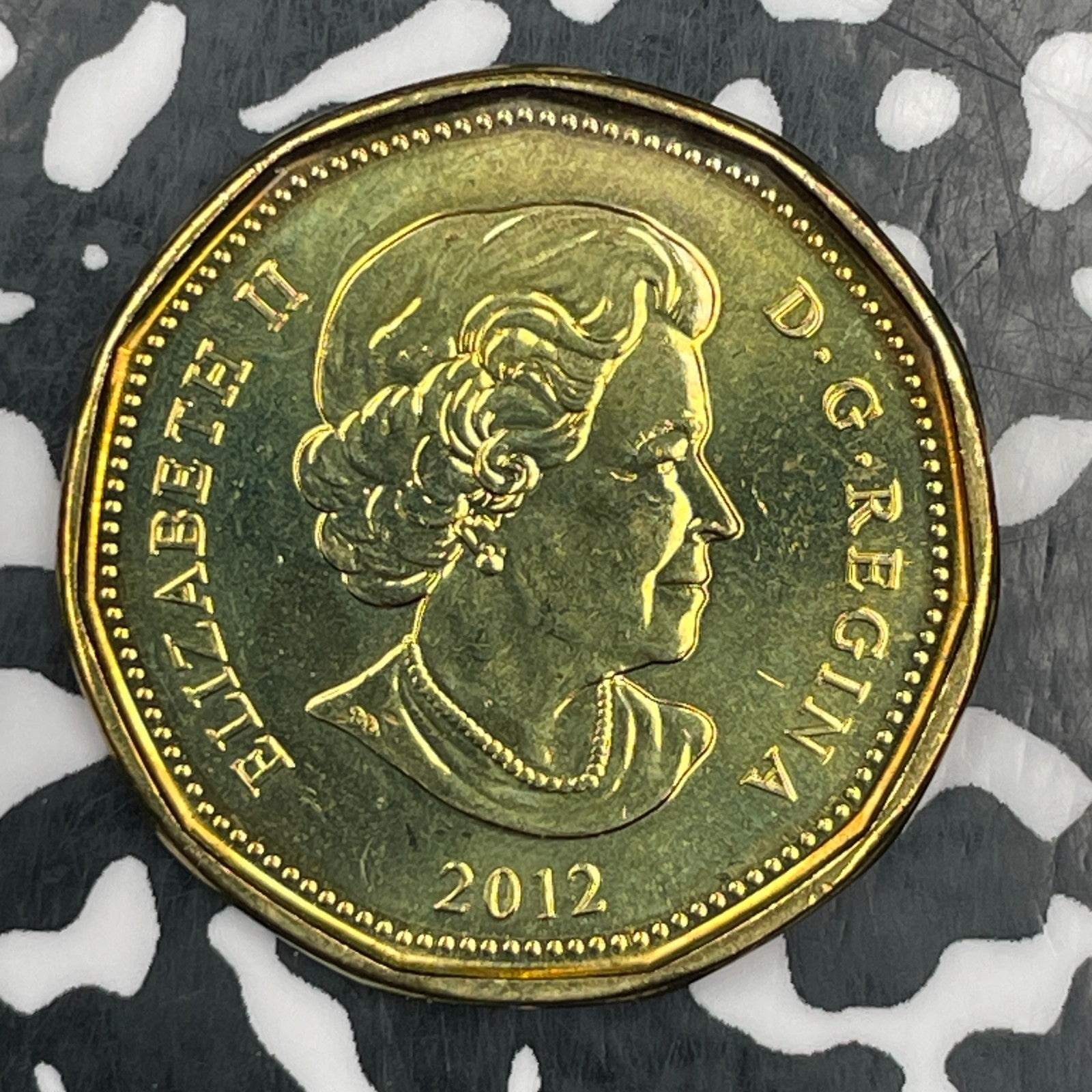 2012 Canada $1 Dollar Lot#N0366 High Grade! Beautiful!