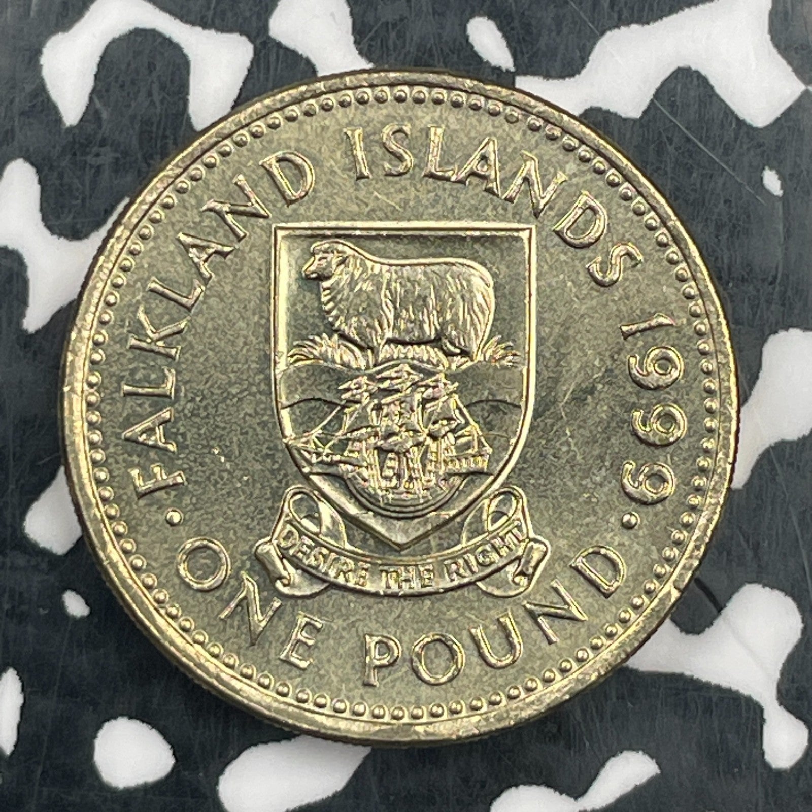1999 Falkland Islands 1 Pound Lot#F9782 High Grade! Beautiful!
