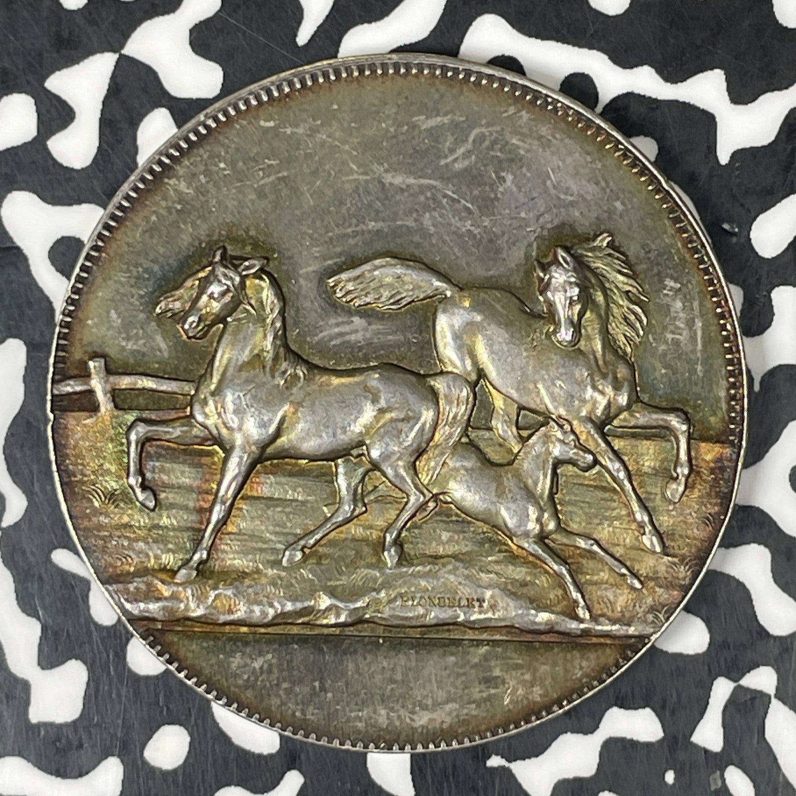 (c.1900) France Moulins Agricultural Syndicate Prize Medal Lot#JM0544 Silver!