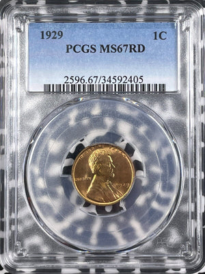 1929 U.S. Lincoln Wheat Cent PCGS MS67RD Lot#G9548 Gem BU!