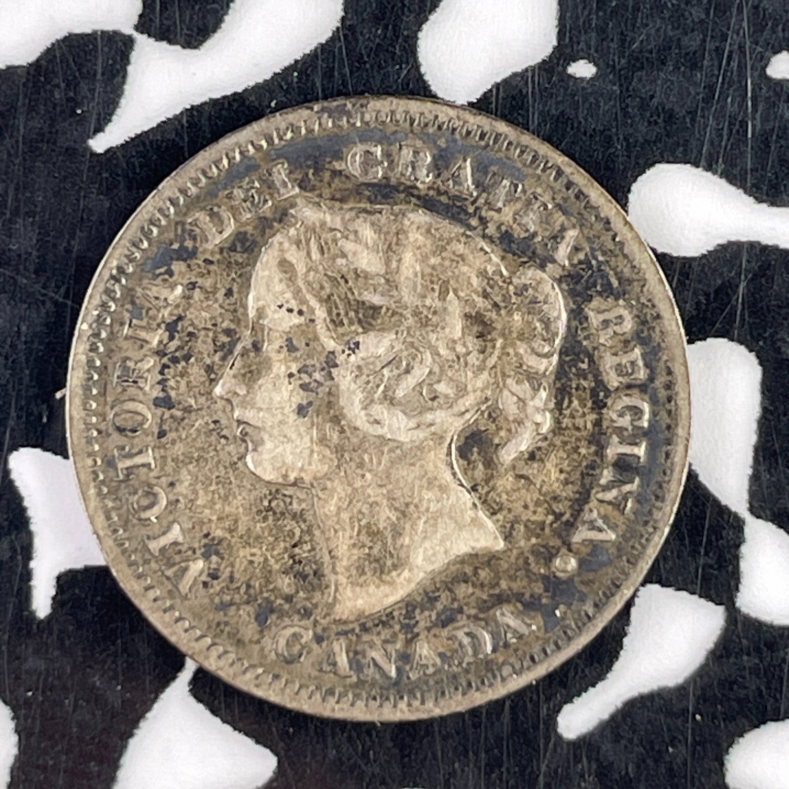 1886 Canada 5 Cents Lot#F2541 Silver! Nice!
