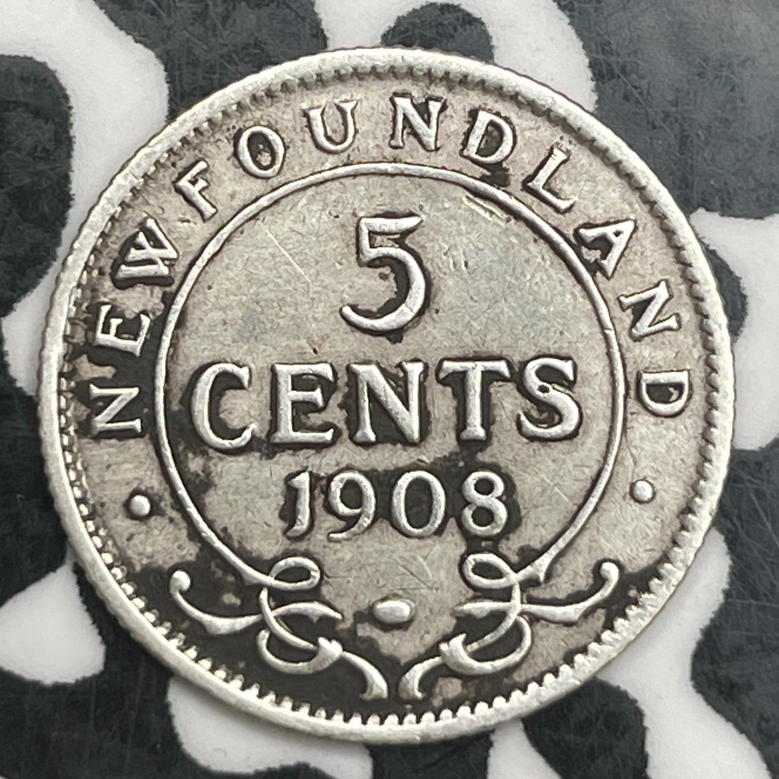 1908 Newfoundland 5 Cents Lot#F7236 Silver!