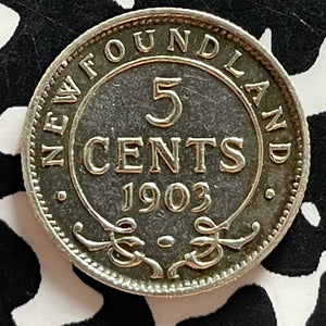 1903 Newfoundland 5 Cents Lot#T4794 Silver! Nice!