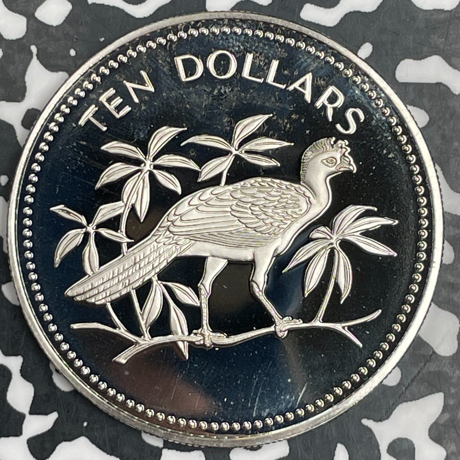 1975 Belize $10 Dollars Lot#F9606 Proof!