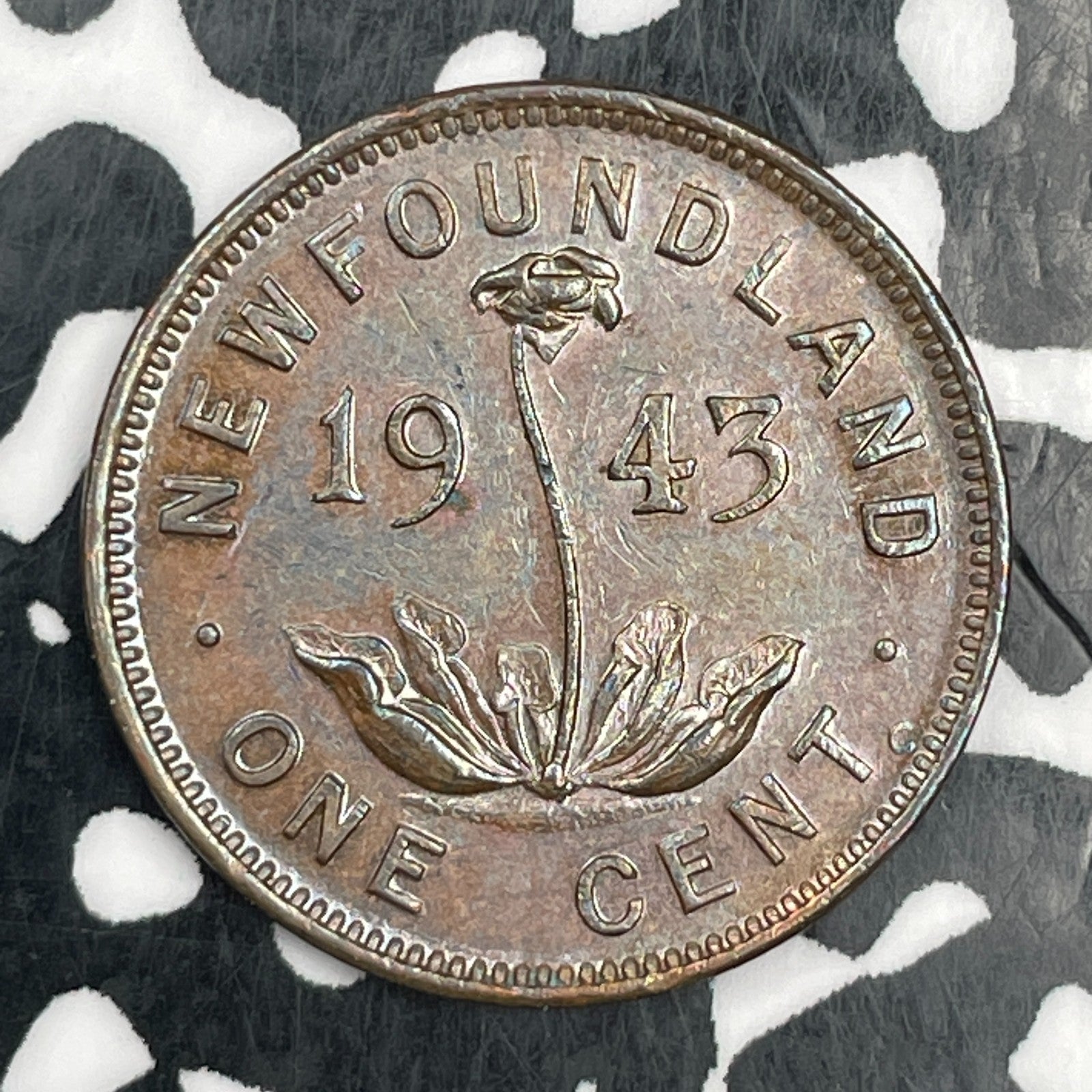 1943-C Newfoundland Small Cent Lot#F9141 Nice!