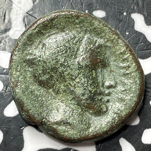 (400-344 BC) Ancient Greece Thessaly Phalanna AE20 Lot#D7259 S-2180