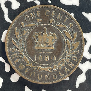1880 Newfoundland Large Cent Lot#T7957 Round '0' Even