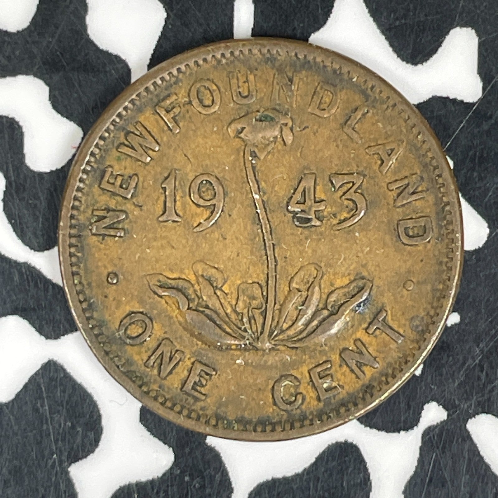 1943 Newfoundland Small Cent Lot#C6020