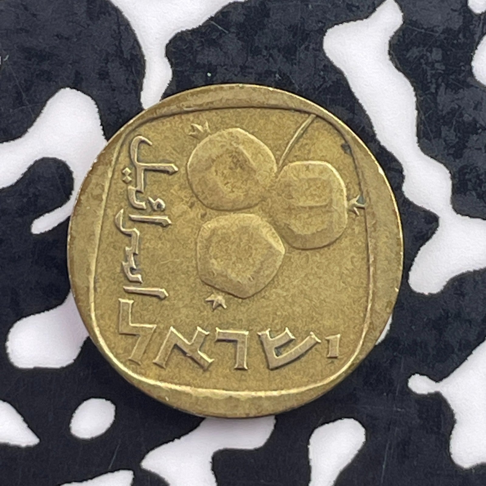 (1964) Israel 5 Agorot Lot#C5940 Key Date!