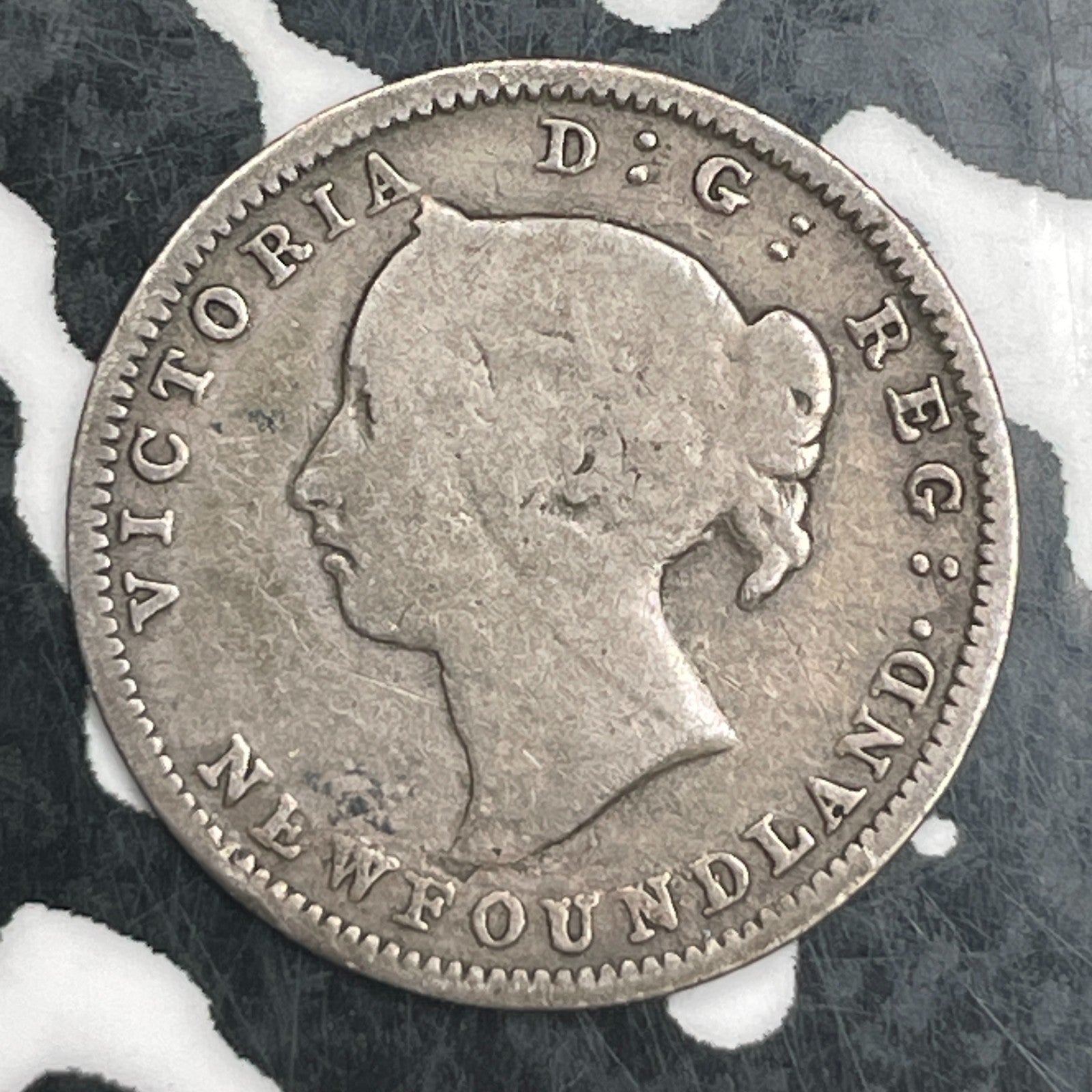 1890 Newfoundland 5 Cents Lot#F7235 Silver!