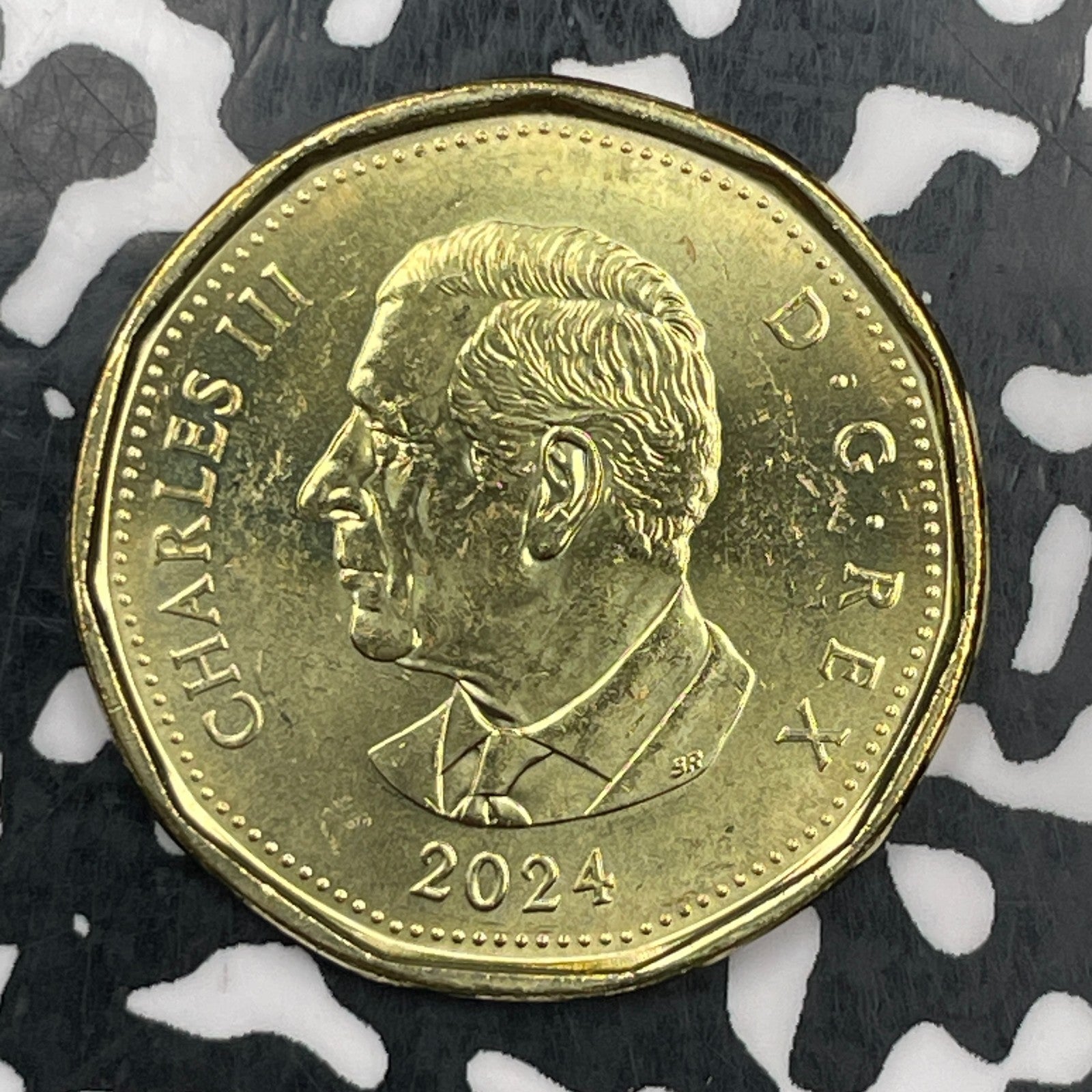 2024 Canada $1 Dollar Lot#F9675 High Grade! Beautiful!