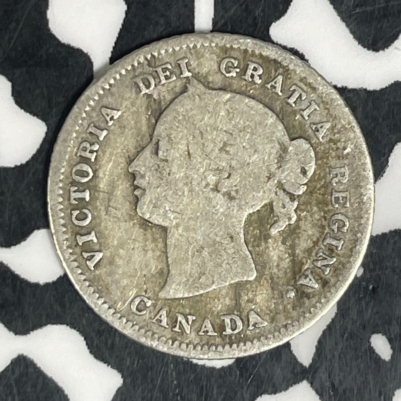 1880-H Canada 5 Cents Lot#C6166 Silver!