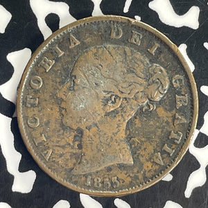 1855 Great Britain 1/2 Penny Half Penny Lot#T8595