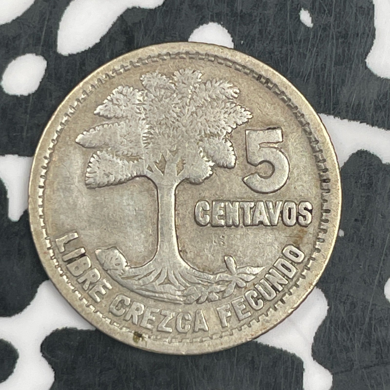 1955 Guatemala 5 Centavos Lot#F8053 Silver!